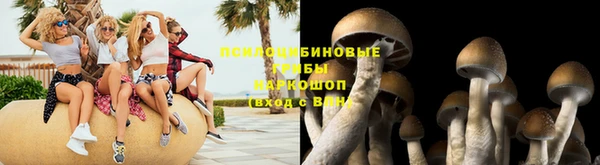 СК Нефтекумск