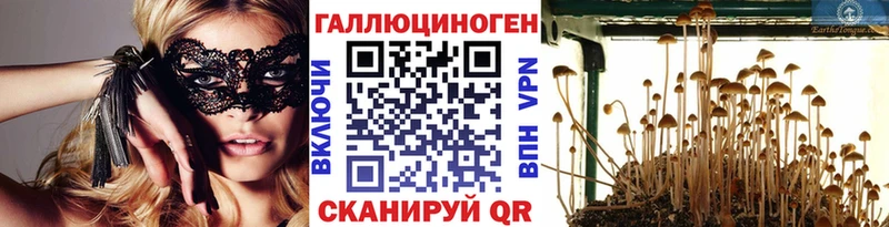 Галлюциногенные грибы ЛСД  купить наркотики цена  kraken зеркало  Купино 